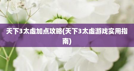 天下3太虚加点攻略(天下3太虚游戏实用指南)