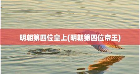 明朝第四位皇上(明朝第四位帝王)