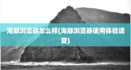 海豚浏览器怎么样(海豚浏览器使用体验调查)