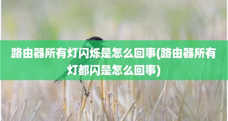 路由器所有灯闪烁是怎么回事(路由器所有灯都闪是怎么回事)