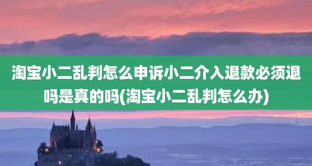 淘宝小二乱判怎么申诉小二介入退款必须退吗是真的吗(淘宝小二乱判怎么办)