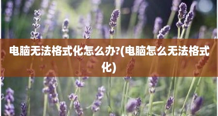 电脑无法格式化怎么办?(电脑怎么无法格式化)