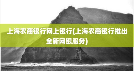 上海农商银行网上银行(上海农商银行推出全新网银服务)