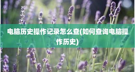 电脑历史操作记录怎么查(如何查询电脑操作历史)