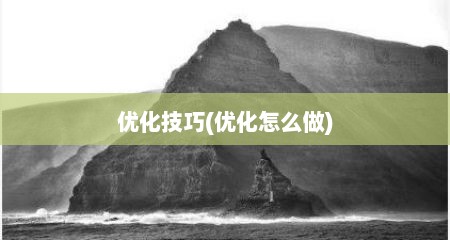 优化技巧(优化怎么做)