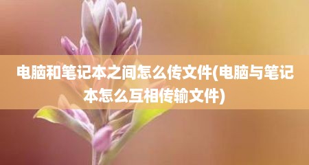 电脑和笔记本之间怎么传文件(电脑与笔记本怎么互相传输文件)