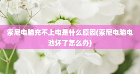 索尼电脑充不上电是什么原因(索尼电脑电池坏了怎么办)