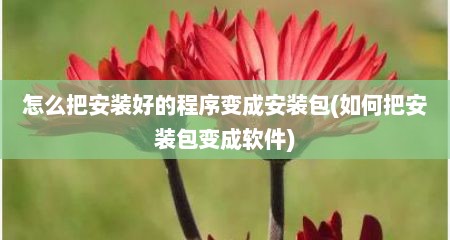 怎么把安装好的程序变成安装包(如何把安装包变成软件)