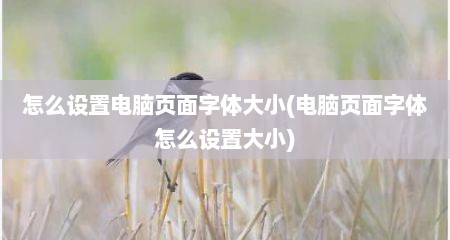 怎么设置电脑页面字体大小(电脑页面字体怎么设置大小)