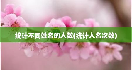 统计不同姓名的人数(统计人名次数)