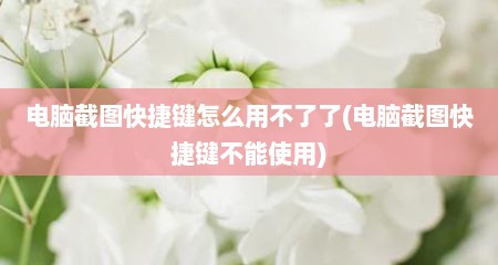 电脑截图快捷键怎么用不了了(电脑截图快捷键不能使用)
