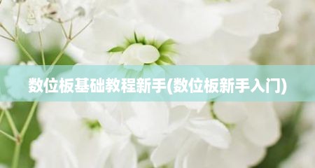 数位板基础教程新手(数位板新手入门)