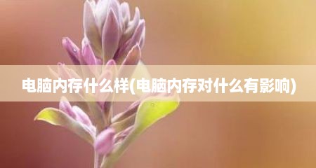 电脑内存什么样(电脑内存对什么有影响)