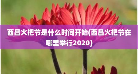 西昌火把节是什么时间开始(西昌火把节在哪里举行2020)