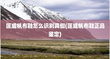匡威帆布鞋怎么识别真假(匡威帆布鞋正品鉴定)
