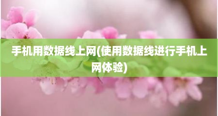 手机用数居线上网(使用数居线进行手机上网体验)