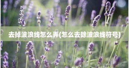 去掉波浪线怎么弄(怎么去除波浪线符号)