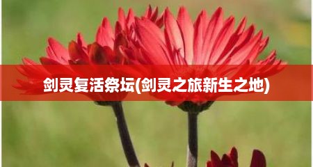 剑灵复活祭坛(剑灵之旅新生之地)