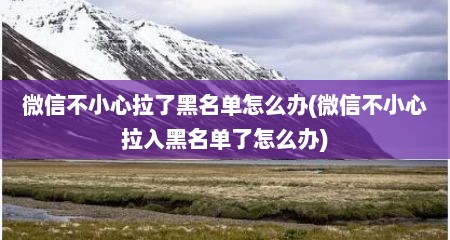 微信不小心拉了黑名单怎么办(微信不小心拉入黑名单了怎么办)