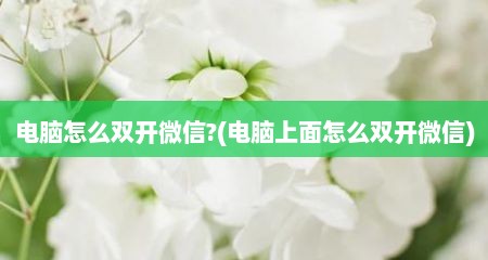 电脑怎么双开微信?(电脑上面怎么双开微信)