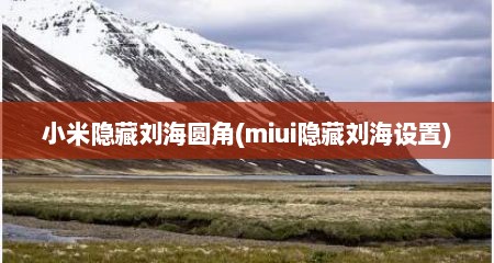 小米隐藏刘海圆角(miui隐藏刘海设置)
