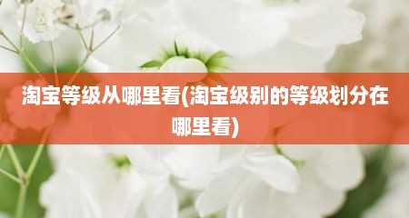 淘宝等级从哪里看(淘宝级别的等级划分在哪里看)