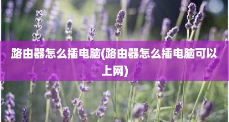 路由器怎么插电脑(路由器怎么插电脑可以上网)