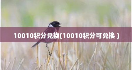 10010积分兑换(10010积分可兑换 )