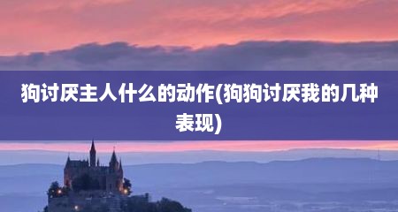狗讨厌主人什么的动作(狗狗讨厌我的几种表现)