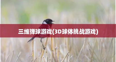 三维弹球游戏(3D球体挑战游戏)