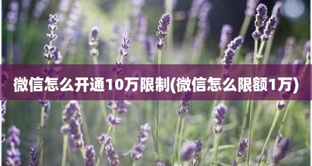 微信怎么开通10万限制(微信怎么限额1万)