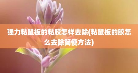 强力粘鼠板的粘胶怎样去除(粘鼠板的胶怎么去除简便方法)