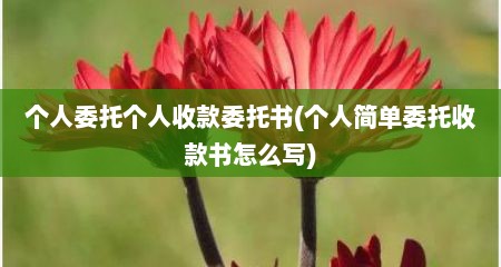 个人委托个人收款委托书(个人简单委托收款书怎么写)