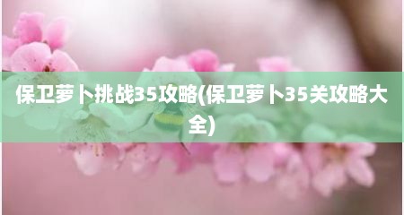 保卫萝卜挑战35攻略(保卫萝卜35关攻略大全)