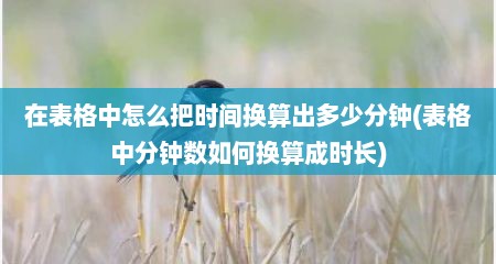 在表格中怎么把时间换算出多少分钟(表格中分钟数如何换算成时长)