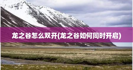 龙之谷怎么双开(龙之谷如何同时开启)