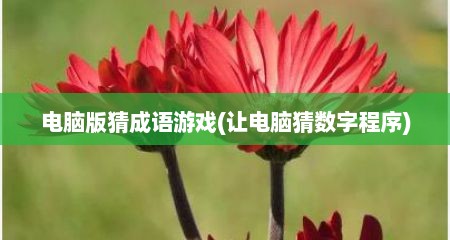 电脑版猜成语游戏(让电脑猜数字程序)