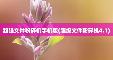 超强文件粉碎机手机版(超级文件粉碎机4.1)