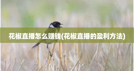 花椒直播怎么赚钱(花椒直播的盈利方法)