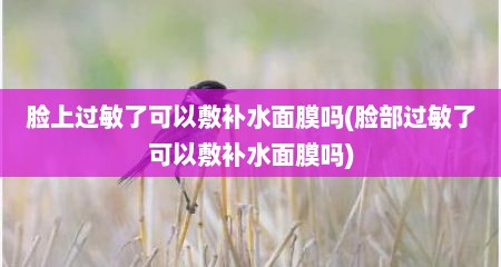 脸上过敏了可以敷补水面膜吗(脸部过敏了可以敷补水面膜吗)