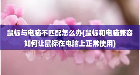 鼠标与电脑不匹配怎么办(鼠标和电脑兼容如何让鼠标在电脑上正常使用)