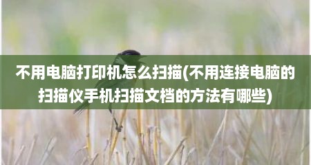 不用电脑打印机怎么扫描(不用连接电脑的扫描仪手机扫描文档的方法有哪些)