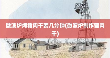 微波炉烤猪肉干要几分钟(微波炉制作猪肉干)