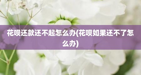 花呗还款还不起怎么办(花呗如果还不了怎么办)