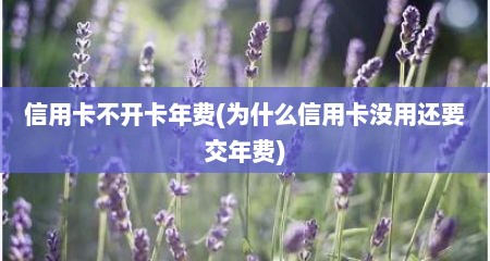 信用卡不开卡年费(为什么信用卡没用还要交年费)