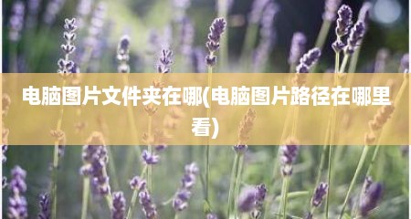 电脑图片文件夹在哪(电脑图片路径在哪里看)