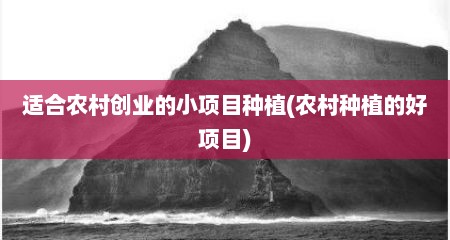 适合农村创业的小项目种植(农村种植的好项目)