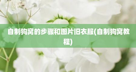 自制狗窝的步骤和图片旧衣服(自制狗窝教程)