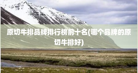 原切牛排品牌排行榜前十名(哪个品牌的原切牛排好)