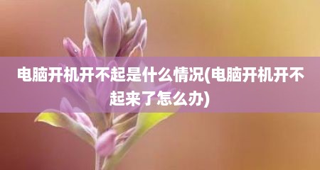 电脑开机开不起是什么情况(电脑开机开不起来了怎么办)
